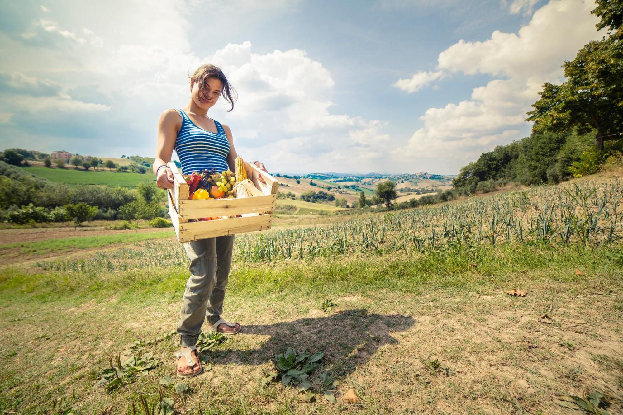 Agriturismo Fonte Carella Monte San Pietrangeli エクステリア 写真